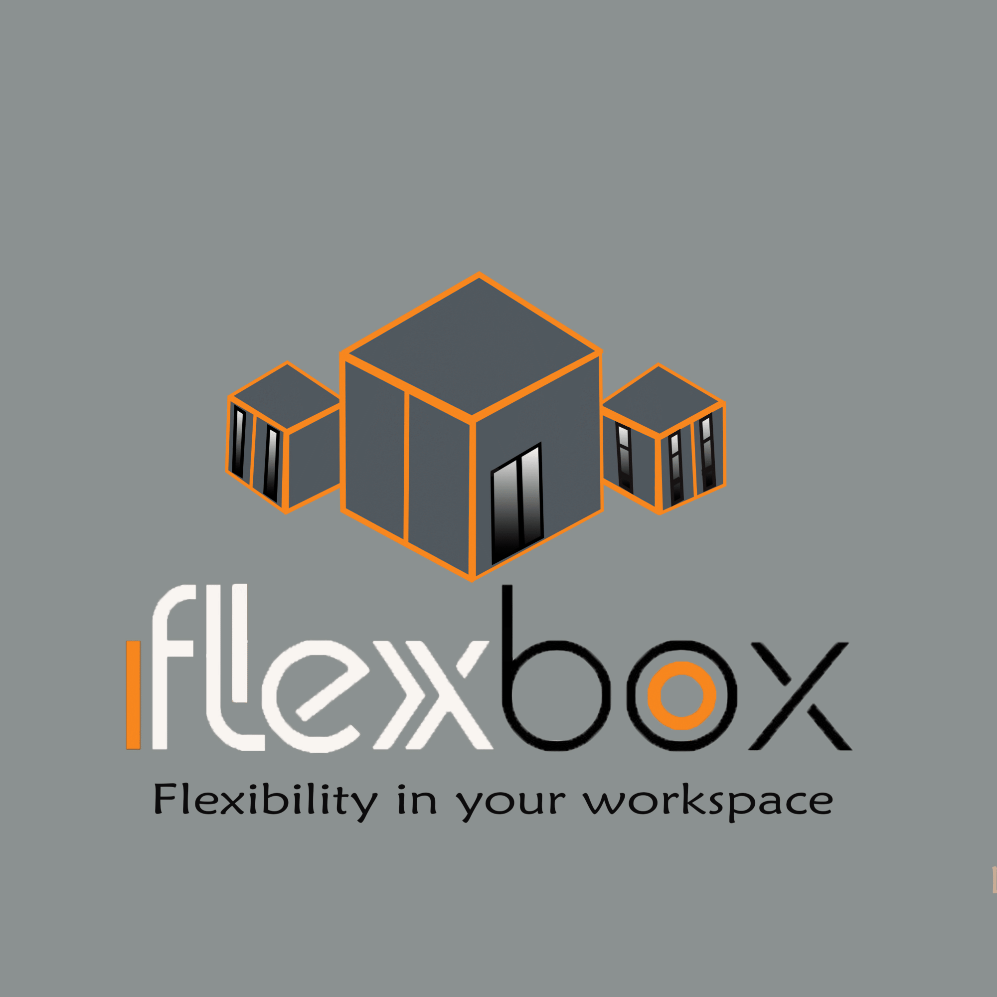 flex logo 1